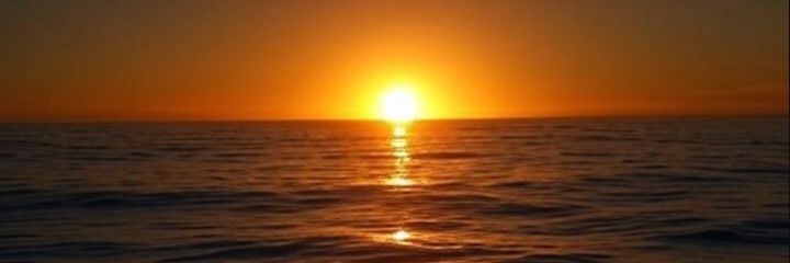 PinkDragon33's profile banner image