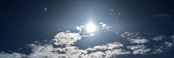 paenopticon Profile Banner
