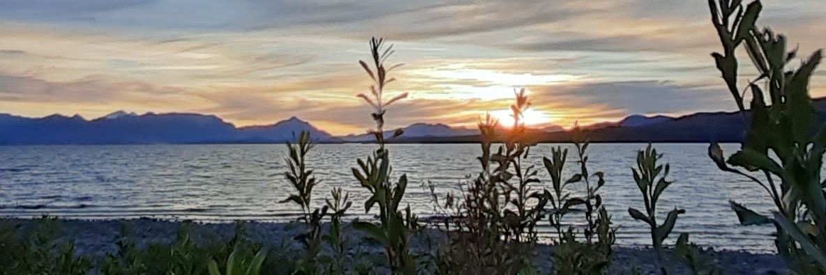 flor_elo's profile banner image