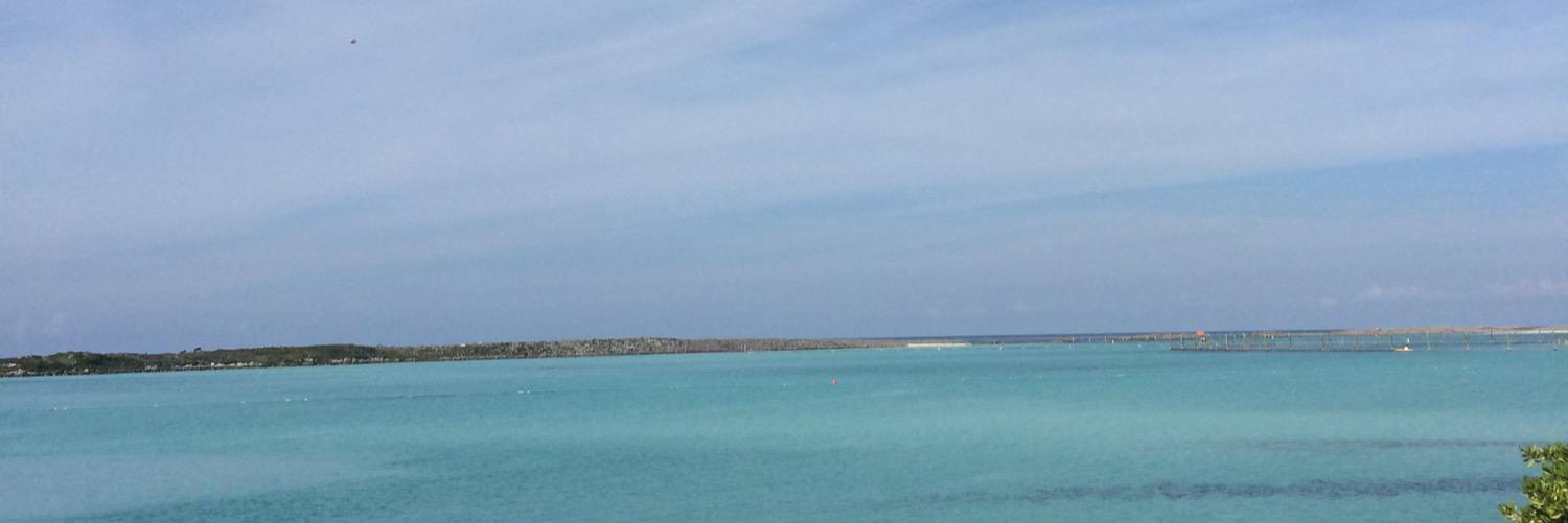 glouise247's profile banner image