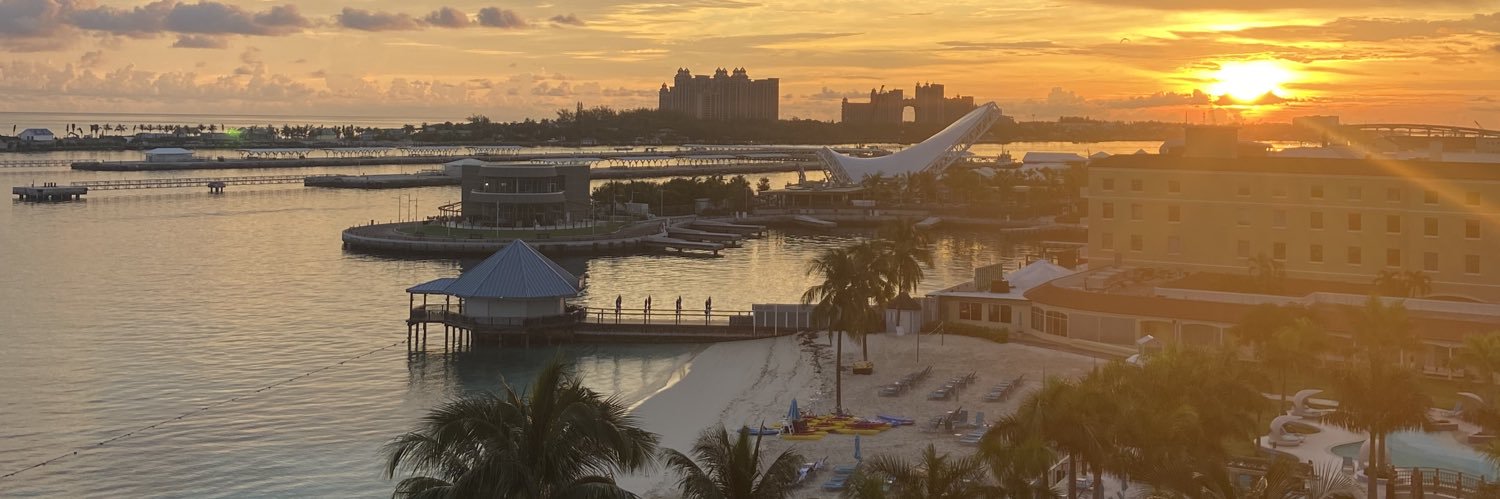 Roaring Dolphin banner