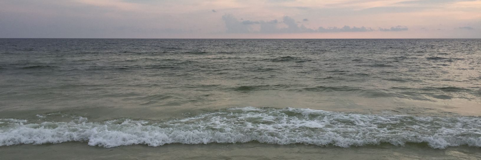 assaultwarrior banner