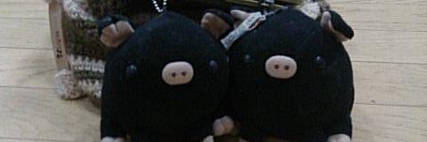 sida_zuki's profile banner image