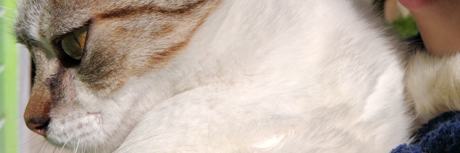 tuitanay's profile banner image