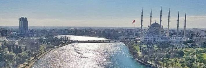 YELIZ banner
