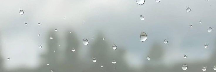 babdbie's profile banner image