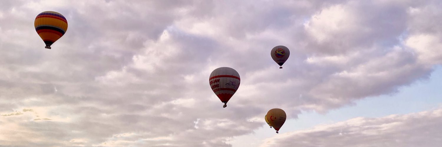 Dilara Yalçın banner