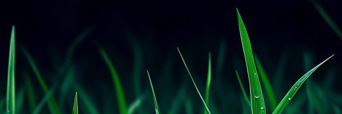 Teach&Build | Cloud | ai engineer | Cybersecurity banner
