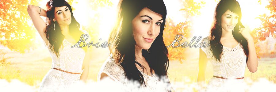 Brie_Mode's profile banner image