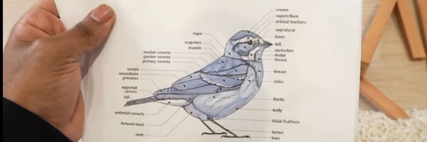 BeedyBB Profile Banner