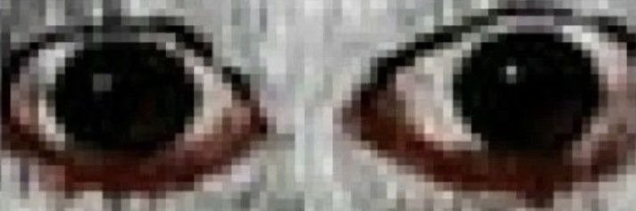 maybeluca10305's profile banner image