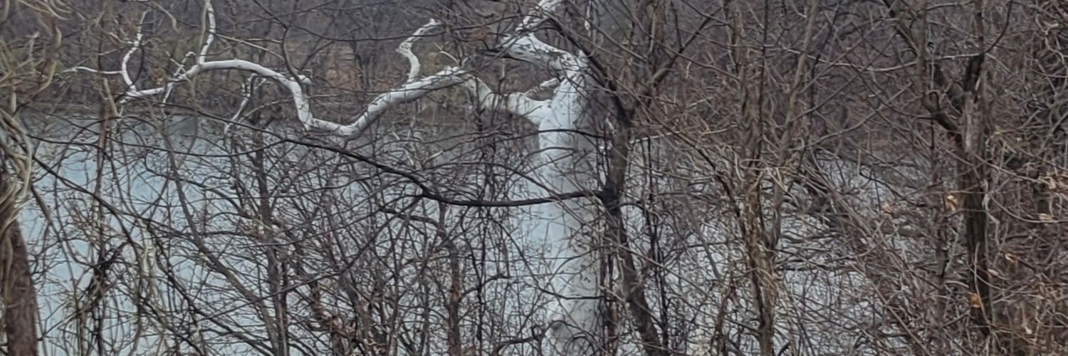 Forgetaboutit63's profile banner image