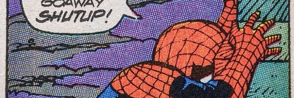 specspidey2004 Profile Banner