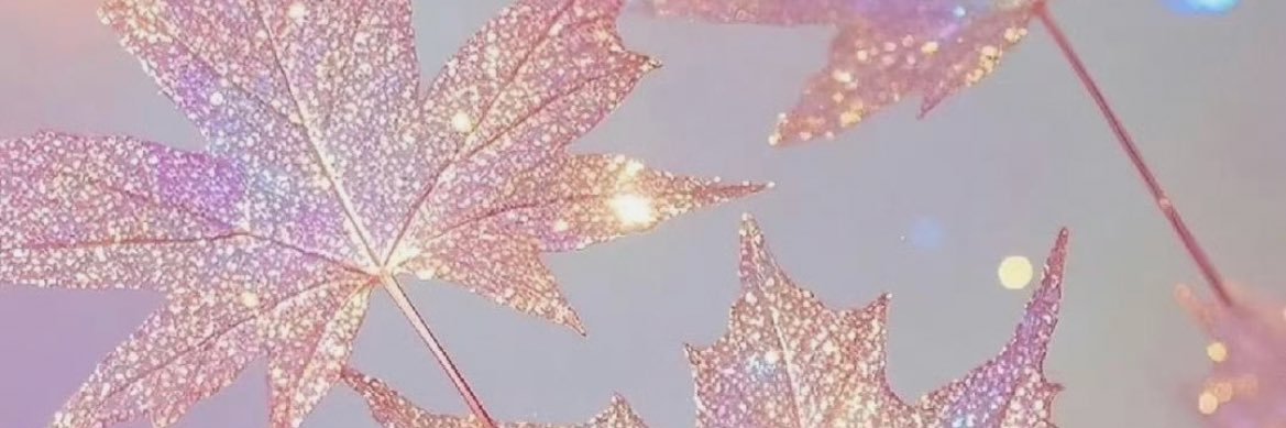 FabiolaM26795's profile banner image