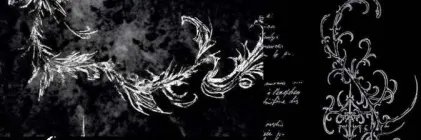 dayani's banner