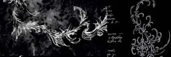 S3R4PHIIM Profile Banner
