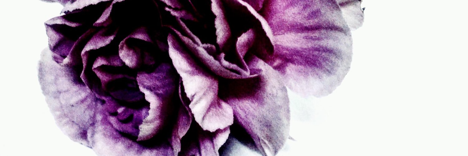 zelals's profile banner image