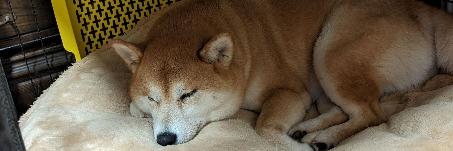 柴犬モナカのぐーたら日記 banner