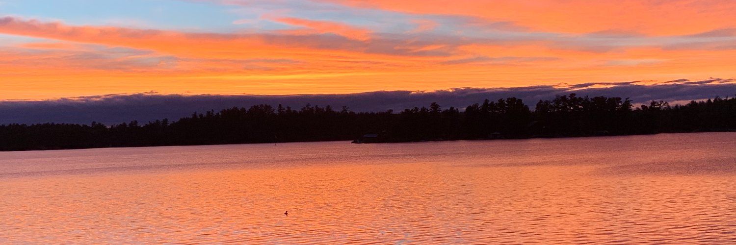 Dr. Kelly Lyons (she/her) banner