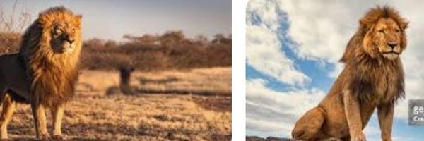 99_winner Profile Banner