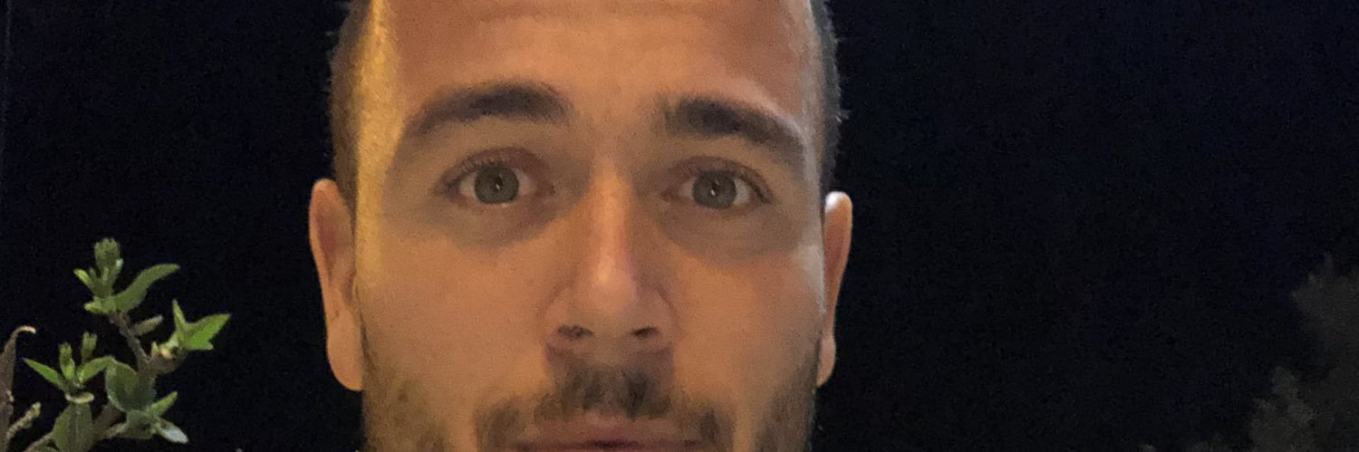 franleonico's profile banner image