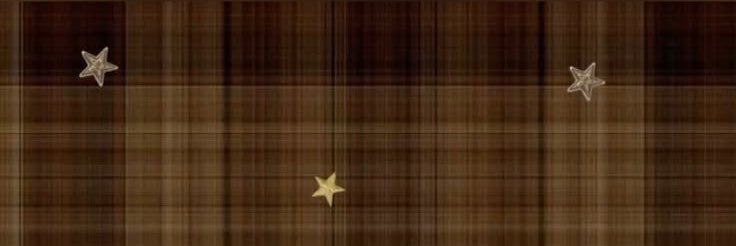 Pia5tri's profile banner image