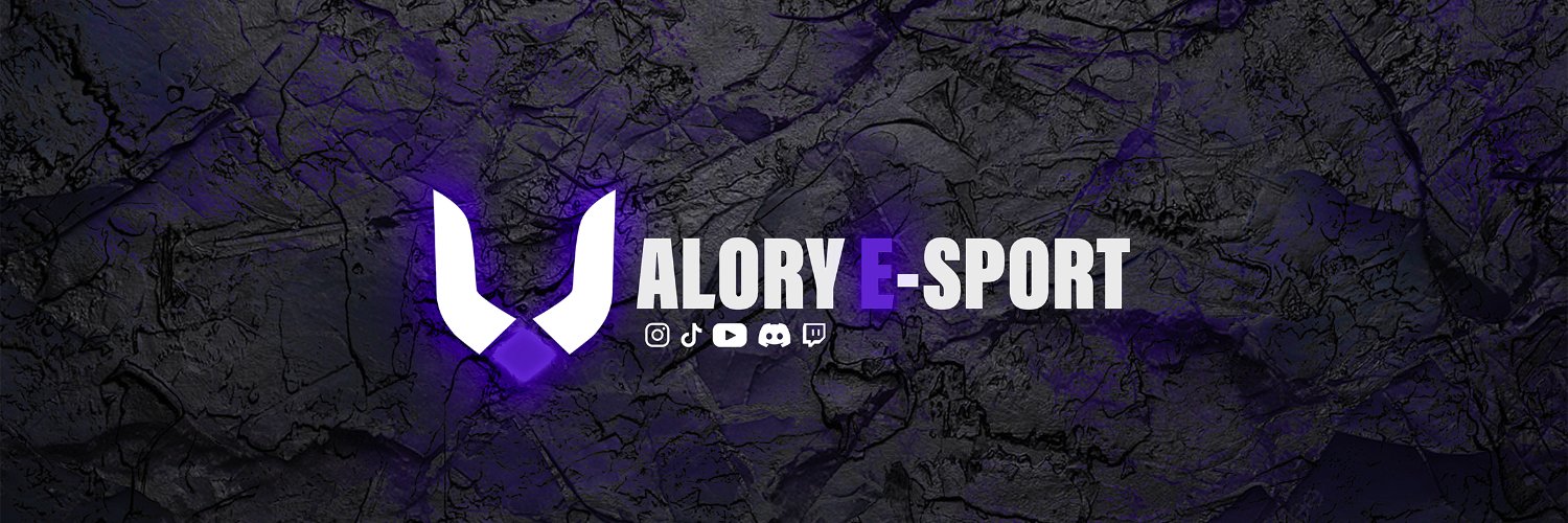 Valory Esport banner