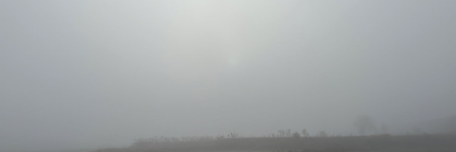 ルーカス banner