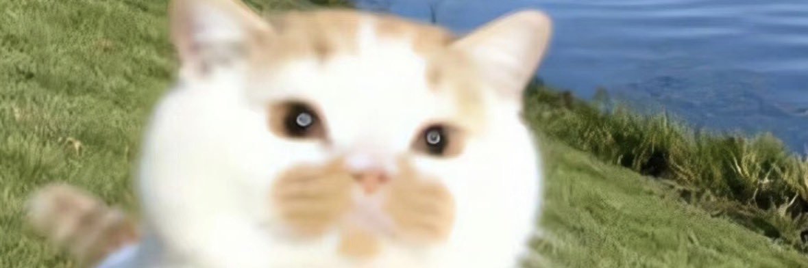 lostpangsit's profile banner image