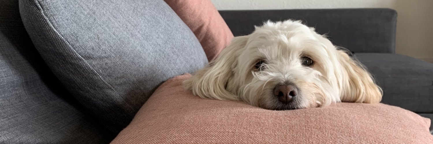 rosschainey's profile banner image