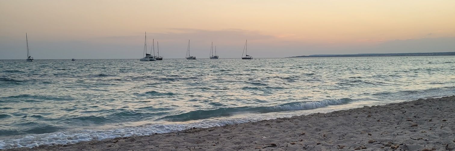 Carlafolgado's profile banner image