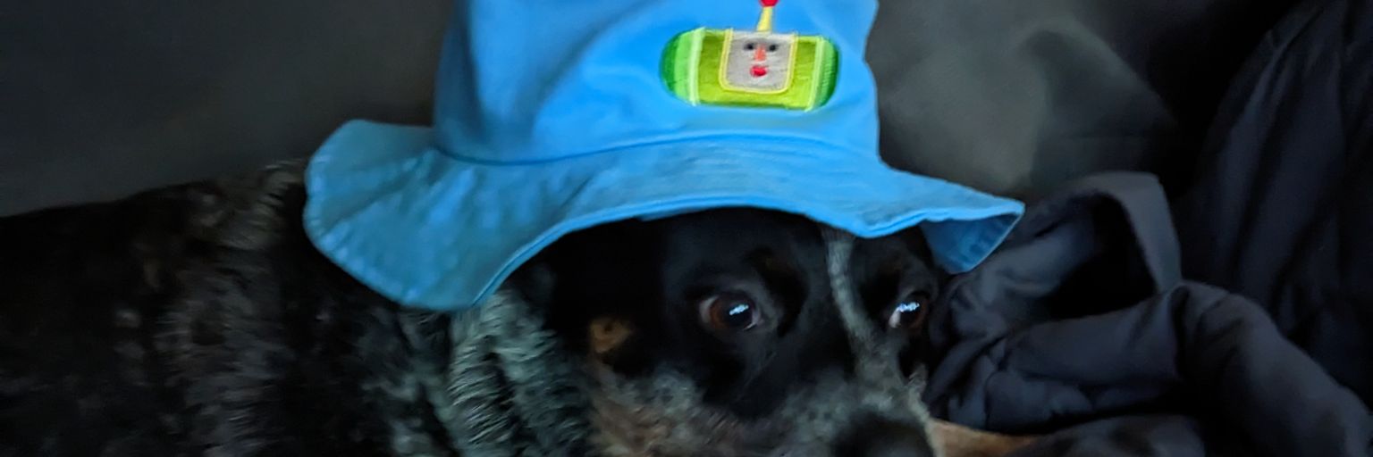 Bosh_Saga's profile banner image