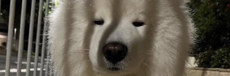 dnimdnimmm's profile banner image