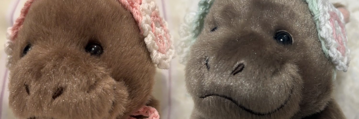 きちゃん banner