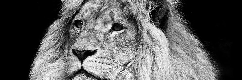 BruceWatson43's profile banner image