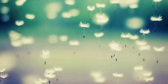 lizzy_kroll's profile banner image