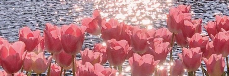 •🎀• banner