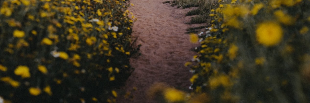 ohwellthatsnice's profile banner image