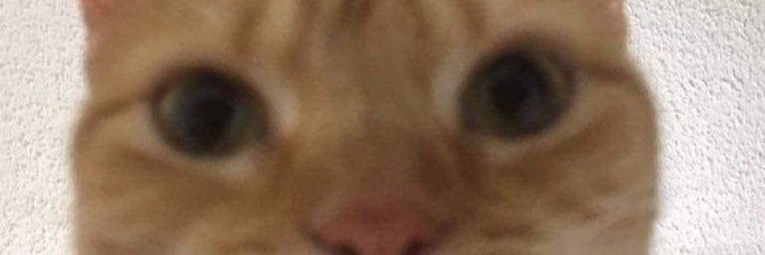 Clitty_Kitty_'s profile banner image