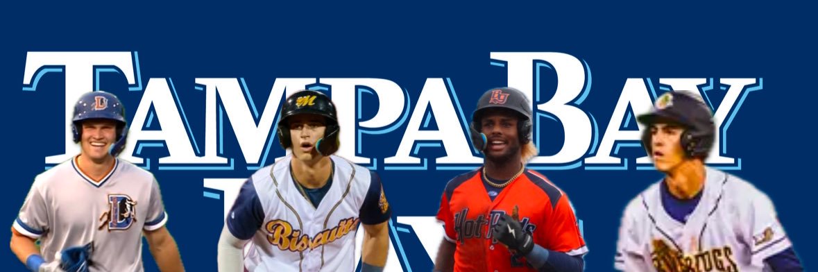 Rays MiLB Updates ⚾️ banner