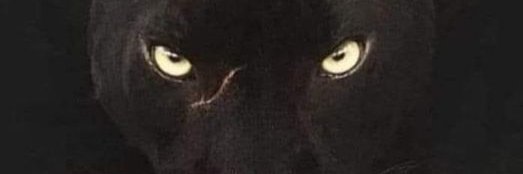 Anubi777's banner