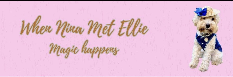 Nina Cole banner