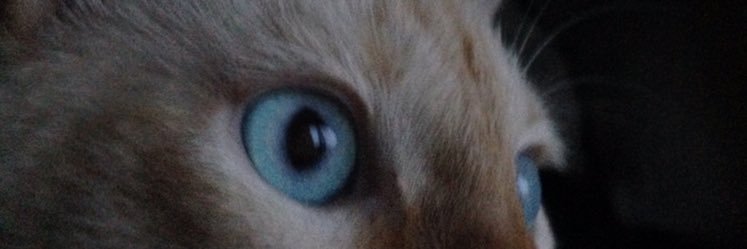 ipcito's profile banner image