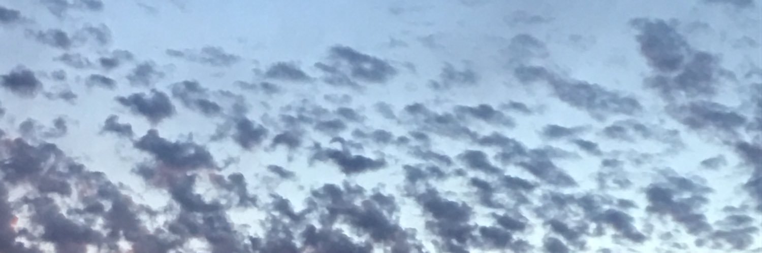 allie mae banner