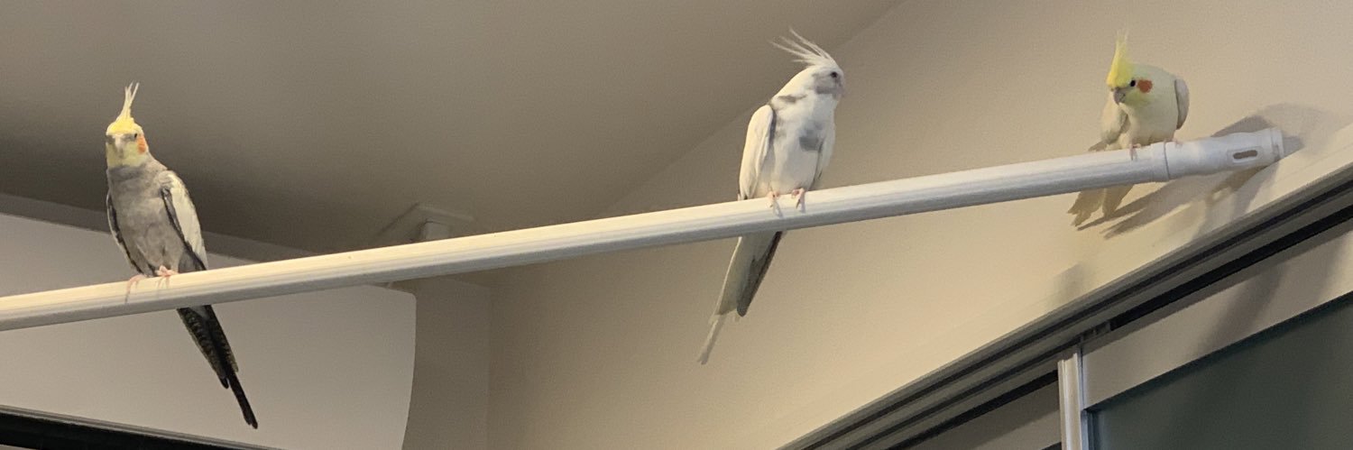 天狗と愉快な仲間達👺🕊️🕊️🕊️🐈🚗🏍️🏍️ banner