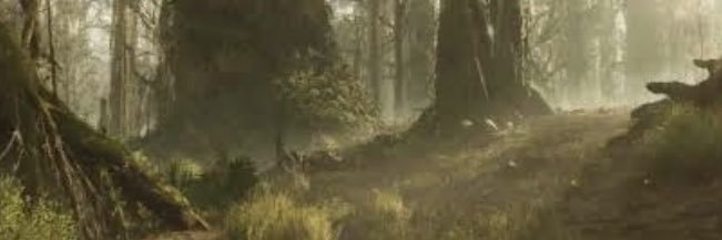 Bore Rock Archive part 1 banner