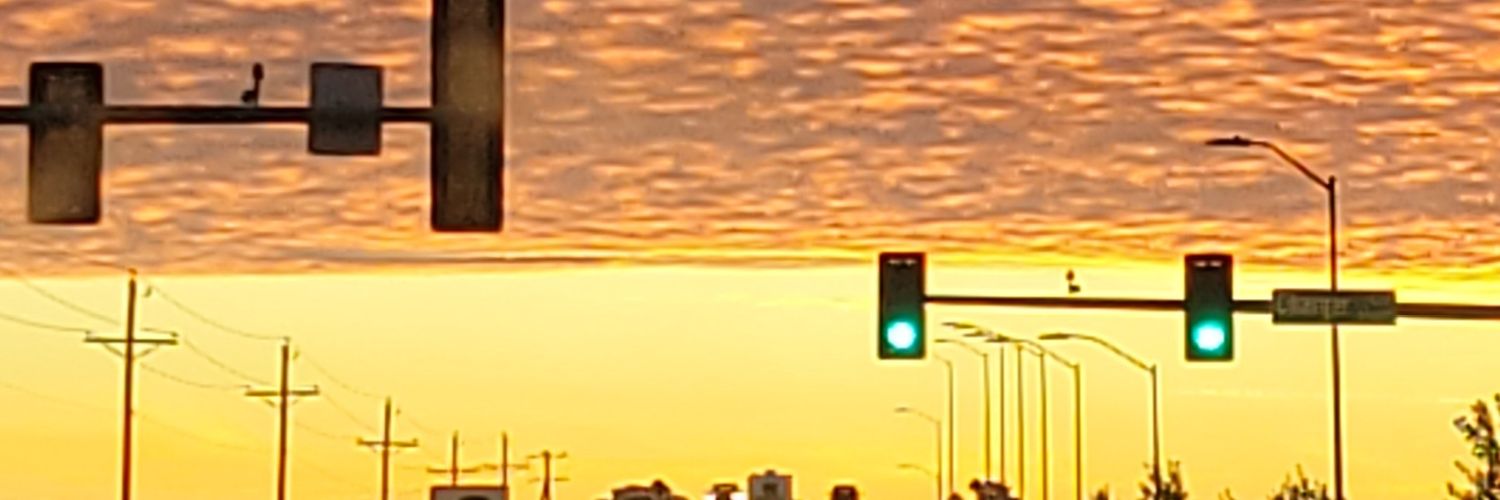 samulrickson's profile banner image