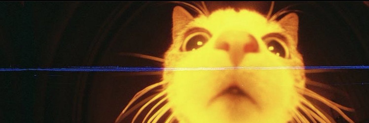 🐾 banner
