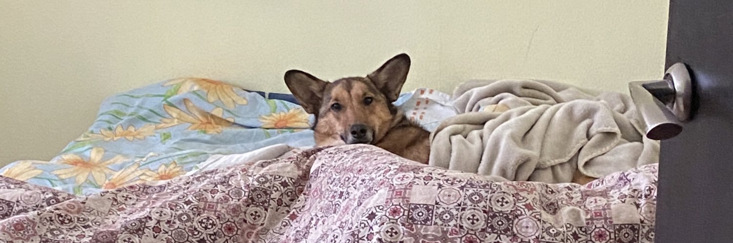 MarynaGrudenko's profile banner image