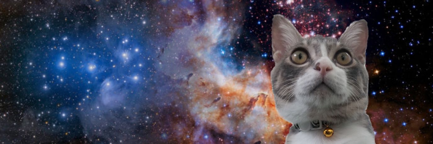 おむ～🦴 banner